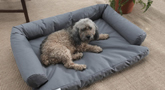pet products image
