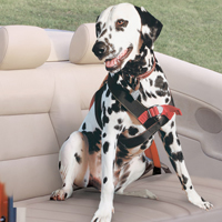Roadie Safety Dog Harness