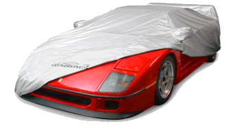 Silverguard Custom Car Cover